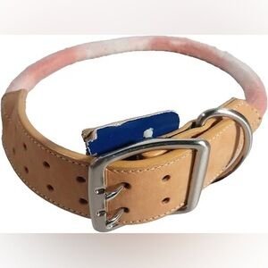 Youly Dog Collar with Silver Buckle (The Avant-garde)